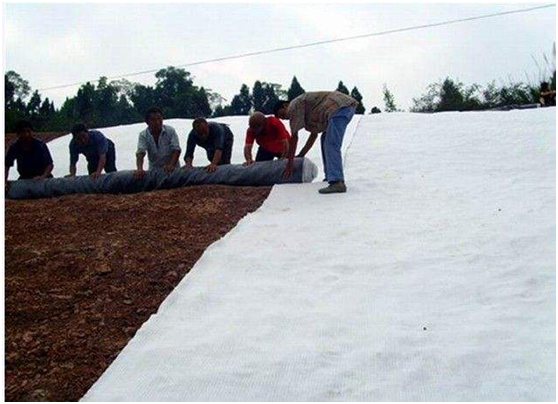 鈉基膨潤土防水毯進入工地的技術規(guī)程體現(xiàn)