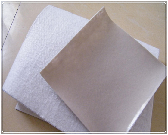 小壩塘工程采用復合土工膜的工程效益