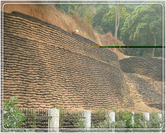 生態(tài)袋護岸具體施工策略