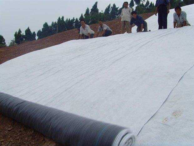 多塘生態(tài)補水系統(tǒng)為什么推薦天然鈉基膨潤土防水毯？