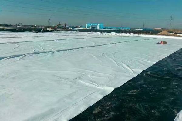 復(fù)合土工膜生產(chǎn)規(guī)模較大的廠家有哪些？