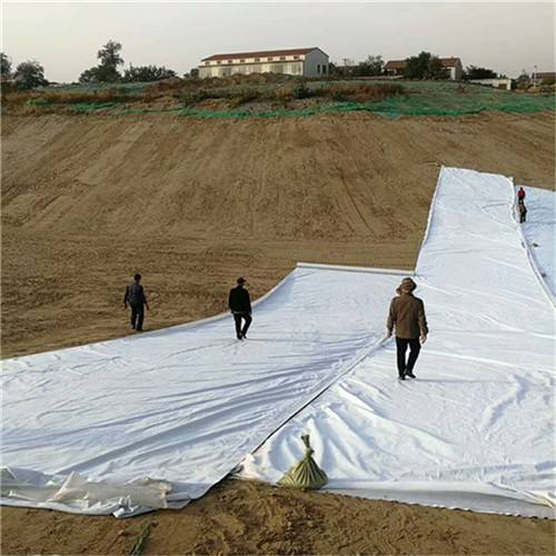 防滲復合土工布能有效隔斷外界水