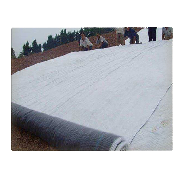 膨潤土防水毯有效擴散系數(shù)對復合襯墊擊穿時間的影響