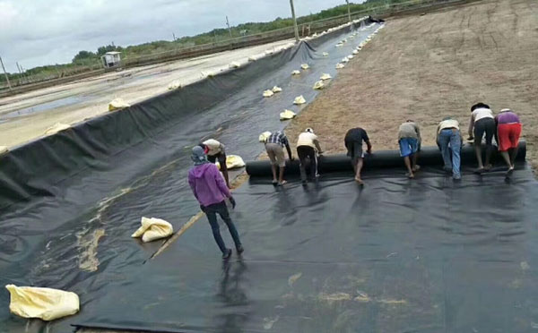 怎樣提高HDPE土工膜焊接質量驗收合格率