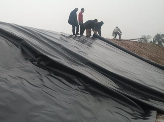 土工膜在堤防工程、河湖治理工程等減滲治理中都得到了很好的應(yīng)用