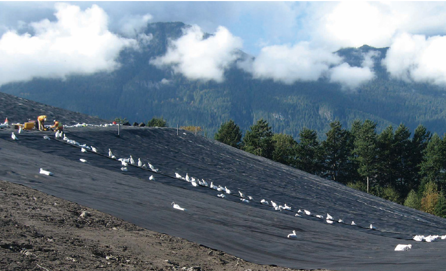 人工生態(tài)系統(tǒng)在黑臭河道治理中的應(yīng)用