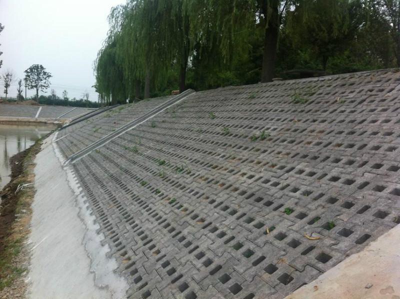 3種常見的坡式護(hù)岸技術(shù)分別是什么類型？