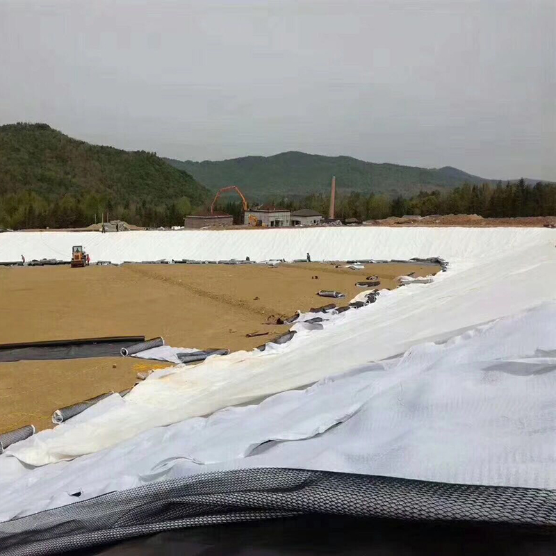 設(shè)計容積50萬m3的調(diào)蓄水池防滲體采用方式？