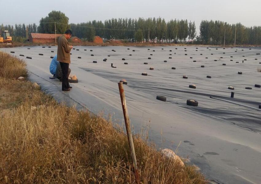 什么是hdpe防滲膜？它有什么優(yōu)點？