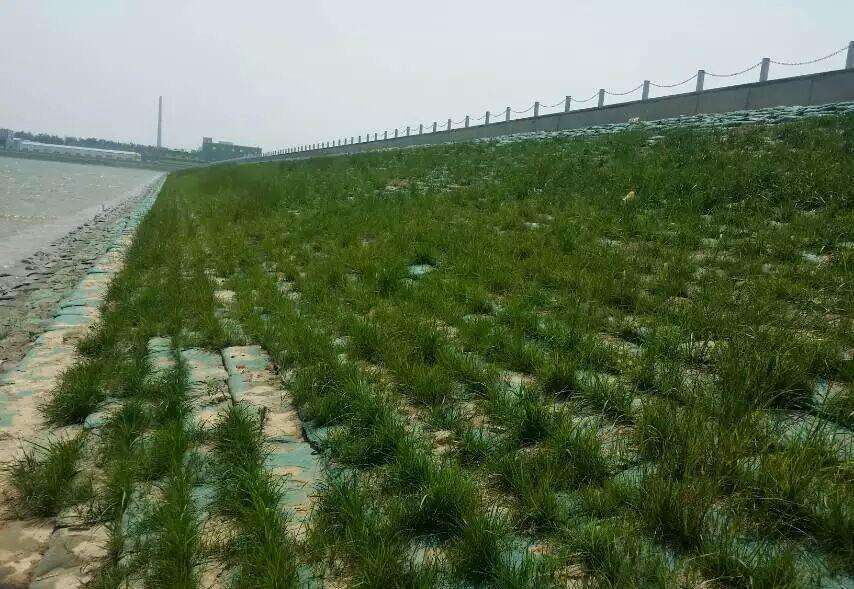 常用的海島邊坡修復技術有哪些？如何修復海島邊坡？