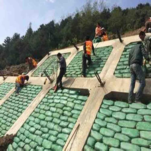 常用的海島邊坡修復技術有哪些？如何修復海島邊坡？