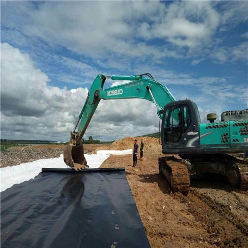 復合土工膜服役20年滲透系數逐年增大防滲性態(tài)依舊良好
