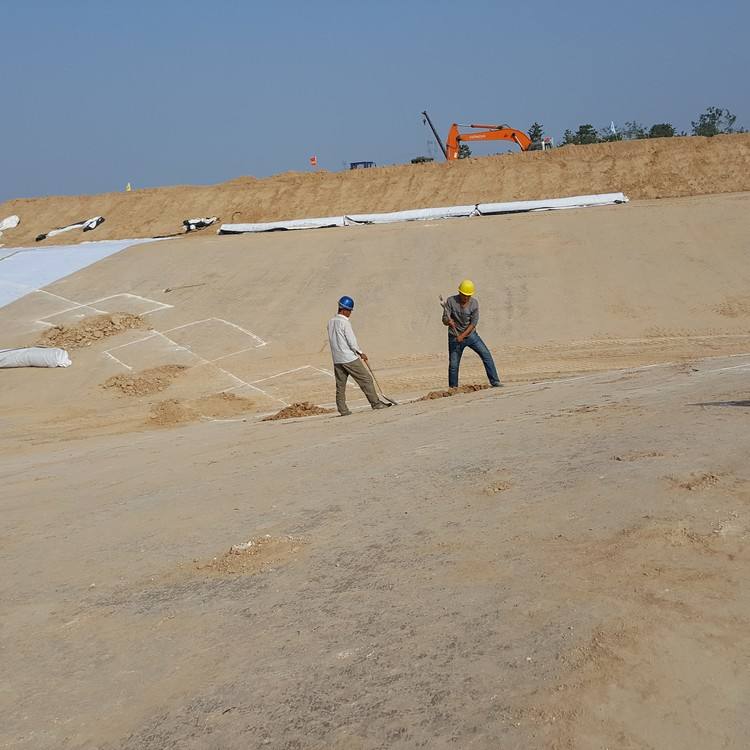 500c401743f37e93b7b031ab7a55333c.jpeg 500c401743f37e93b7b031ab7a55333c.jpeg