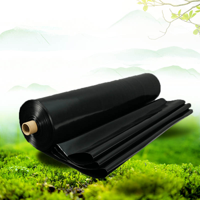 電商食品獼猴桃優(yōu)惠滿(mǎn)減活動(dòng)合成商品主圖.jpg 電商食品獼猴桃優(yōu)惠滿(mǎn)減活動(dòng)合成商品主圖.jpg